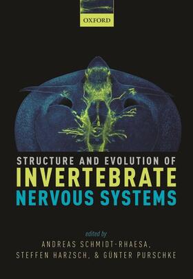 Schmidt-Rhaesa / Harzsch / Purschke |  Structure and Evolution of Invertebrate Nervous Systems | Buch |  Sack Fachmedien