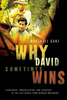 Ganz |  Why David Sometimes Wins | Buch |  Sack Fachmedien