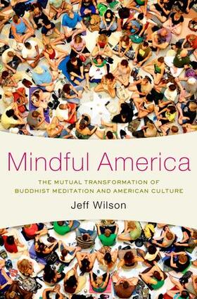 Wilson |  Mindful America C | Buch |  Sack Fachmedien