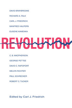 Friedrich |  Revolution | Buch |  Sack Fachmedien