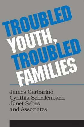 Schellenbach |  Troubled Youth, Troubled Families | Buch |  Sack Fachmedien