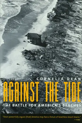 Dean |  Against the Tide | Buch |  Sack Fachmedien