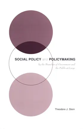 Stein |  Social Policy & Policymaking by the Branches of Government and the Public-at-Large | Buch |  Sack Fachmedien