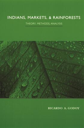 Godoy |  Indians, Markets, & Rainforests - Theory, Methods,  Analysis | Buch |  Sack Fachmedien