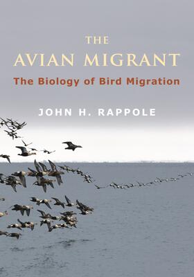 Rappole |  Avian Migrant | Buch |  Sack Fachmedien