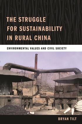 Tilt |  Struggle for Sustainability in Rural China | Buch |  Sack Fachmedien