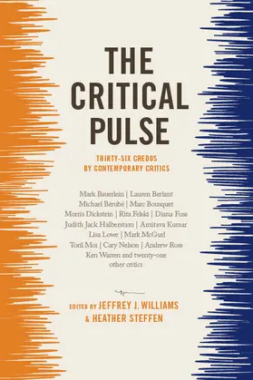 Williams / Steffen |  Critical Pulse | Buch |  Sack Fachmedien