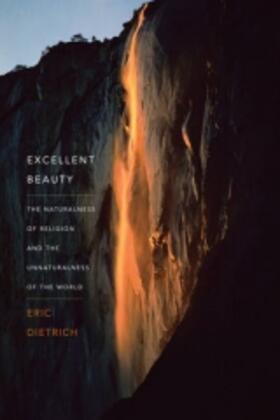 Dietrich |  Excellent Beauty | Buch |  Sack Fachmedien