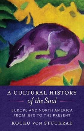 von Stuckrad |  A Cultural History of the Soul | Buch |  Sack Fachmedien