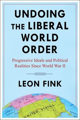 Fink |  Undoing the Liberal World Order | Buch |  Sack Fachmedien