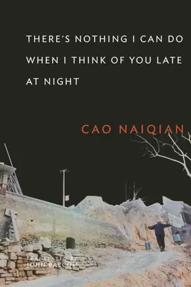 Cao |  There’s Nothing I Can Do When I Think of You Late at Night | eBook | Sack Fachmedien