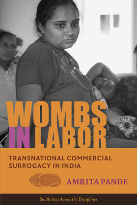 Pande |  Wombs in Labor | eBook | Sack Fachmedien