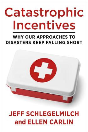 Schlegelmilch / Carlin |  Catastrophic Incentives | eBook | Sack Fachmedien