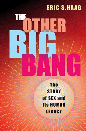 Haag |  The Other Big Bang | eBook | Sack Fachmedien