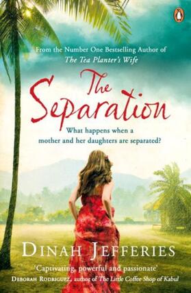 Jefferies |  The Separation | Buch |  Sack Fachmedien