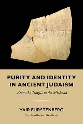 Furstenberg |  Purity and Identity in Ancient Judaism | eBook | Sack Fachmedien