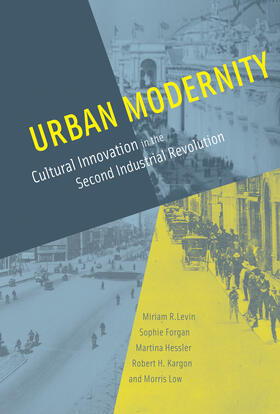 Levin / Forgan / Hessler | Urban Modernity: Cultural Innovation in the Second Industrial Revolution | Buch | 978-0-262-01398-7 | sack.de