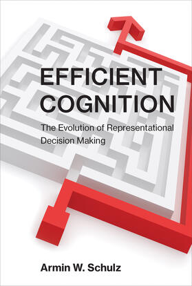 Schulz |  Efficient Cognition | Buch |  Sack Fachmedien