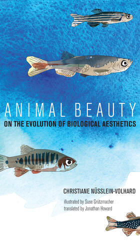Nusslein-Volhard / Nüsslein-Volhard |  Animal Beauty: On the Evolution of Biological Aesthetics | Buch |  Sack Fachmedien