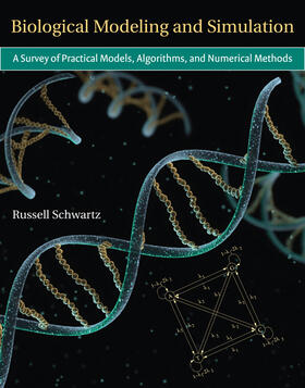 Schwartz |  Biological Modeling and Simulation: A Survey of Practical Models, Algorithms, and Numerical Methods | Buch |  Sack Fachmedien