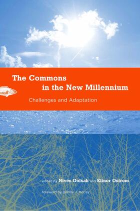 Dolsak / Ostrom |  The Commons in the New Millennium | Buch |  Sack Fachmedien