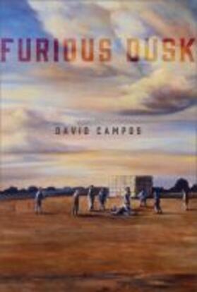 Campos |  Furious Dusk | Buch |  Sack Fachmedien