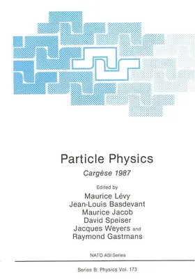 Levy |  Particle Physics | Buch |  Sack Fachmedien