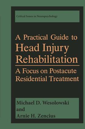 Zencius / Wesolowski |  A Practical Guide to Head Injury Rehabilitation | Buch |  Sack Fachmedien