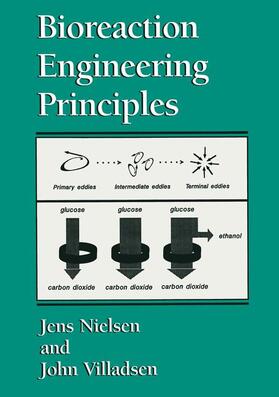 Nielsen / Villadsen |  Bioreaction Engineering Principles | Buch |  Sack Fachmedien