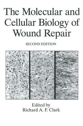 Clark |  The Molecular and Cellular Biology of Wound Repair | Buch |  Sack Fachmedien