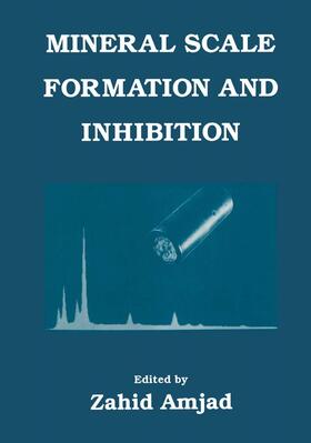 Amjad |  Mineral Scale Formation and Inhibition | Buch |  Sack Fachmedien