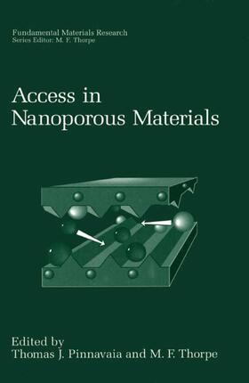 Pinnavaia / Thorpe |  Access in Nanoporous Materials | Buch |  Sack Fachmedien