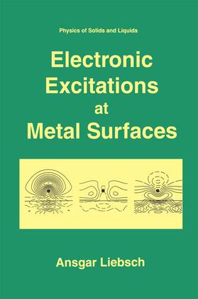 Liebsch |  Electronic Excitations at Metal Surfaces | Buch |  Sack Fachmedien