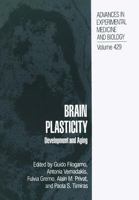 Filogamo / Vernadakis / Timiras |  Brain Plasticity | Buch |  Sack Fachmedien