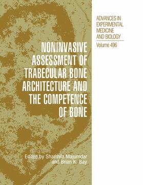 Bay / Majumdar |  Noninvasive Assessment of Trabecular Bone Architecture and The Competence of Bone | Buch |  Sack Fachmedien
