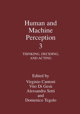 Cantoni / di Gesù / Setti |  Human and Machine Perception 3 | Buch |  Sack Fachmedien