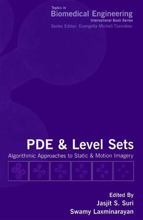 Laxminarayan |  PDE and Level Sets | Buch |  Sack Fachmedien