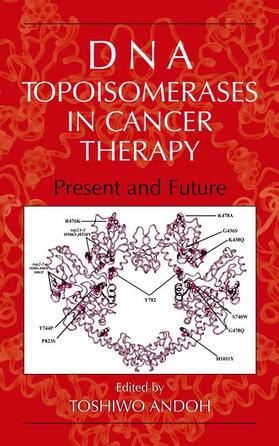 Andoh |  DNA Topoisomerases in Cancer Therapy | Buch |  Sack Fachmedien