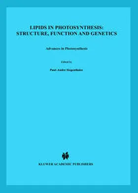 Siegenthaler / Murata |  Lipids in Photosynthesis: Structure, Function and Genetics | eBook | Sack Fachmedien