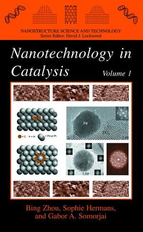 Zhou / Somorjai / Hermans |  Nanotechnology in Catalysis | Buch |  Sack Fachmedien