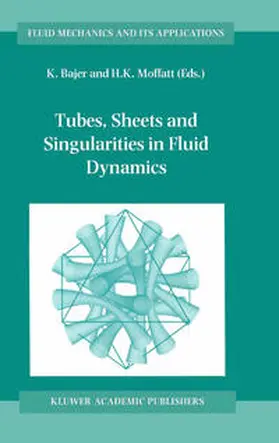 Bajer / Moffatt |  Tubes, Sheets and Singularities in Fluid Dynamics | eBook | Sack Fachmedien