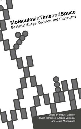 Vicente / Mingorance / Tamames |  Molecules in Time and Space | Buch |  Sack Fachmedien