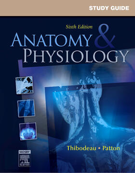 Swisher / Patton / Thibodeau |  Study Guide for Anatomy & Physiology | Buch |  Sack Fachmedien