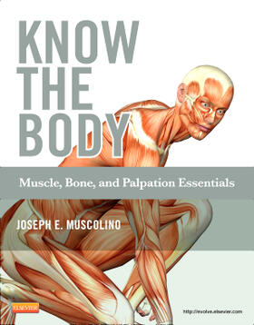 Muscolino | Know the Body: Muscle, Bone, and Palpation Essentials | Buch | 978-0-323-08684-4 | sack.de
