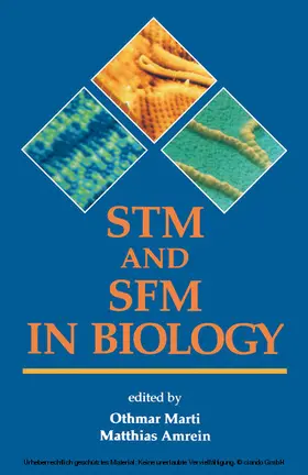 Marti / Amrein |  STM and SFM in Biology | eBook | Sack Fachmedien