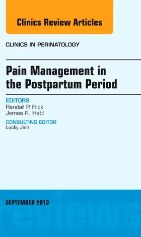 Flick / Hebl |  Pain Management in the Postpartum Period, an Issue of Clinics in Perinatology | Buch |  Sack Fachmedien