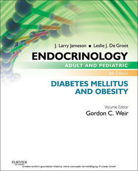 Weir / Jameson / Groot |  Endocrinology Adult and Pediatric: Diabetes Mellitus and Obesity  E-Book | eBook | Sack Fachmedien