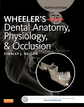 Nelson |  Wheeler's Dental Anatomy, Physiology and Occlusion | Buch |  Sack Fachmedien