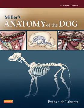 Evans / De Lahunta |  Miller's Anatomy of the Dog - E-Book | eBook | Sack Fachmedien