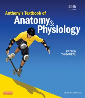 Patton / Thibodeau |  Anthony's Textbook of Anatomy & Physiology - E-Book | eBook | Sack Fachmedien